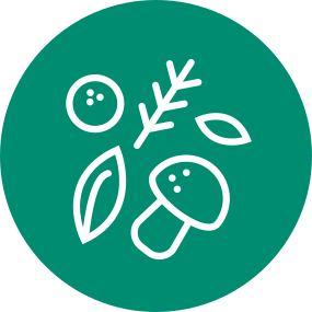 A natural solution for maintaining healthy joint supports with Flexafen